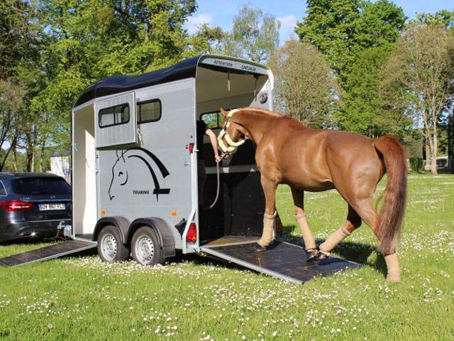 Cheval Liberte Touring One single horsebox