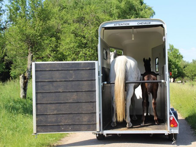 Single horse trailers for sale