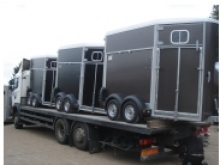 Ifor Williams horseboxes for sale from Blendworth Trailer Centre